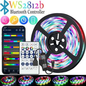 RGB Color-changing 5V Magic USB Light Strip (Option: WS2812b BHT IR-5M)